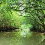 Poovar backwaters